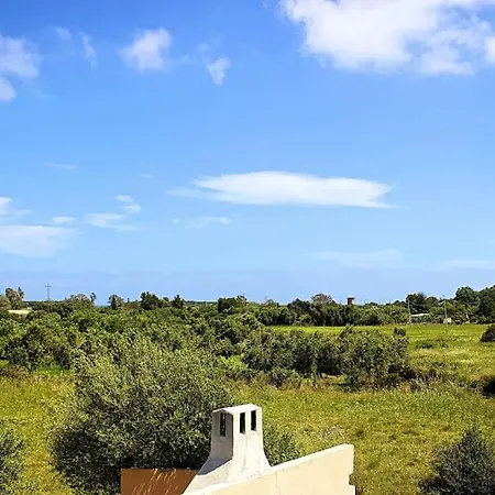 Holiday home S'omu E Fideli *